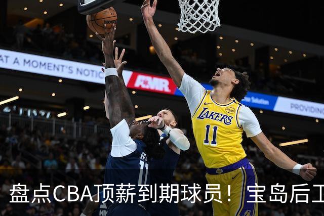 盘点CBA顶薪到期球员！宝岛后卫再冲总冠军，吴前或签老将合同，亚洲第一控卫面临退役！